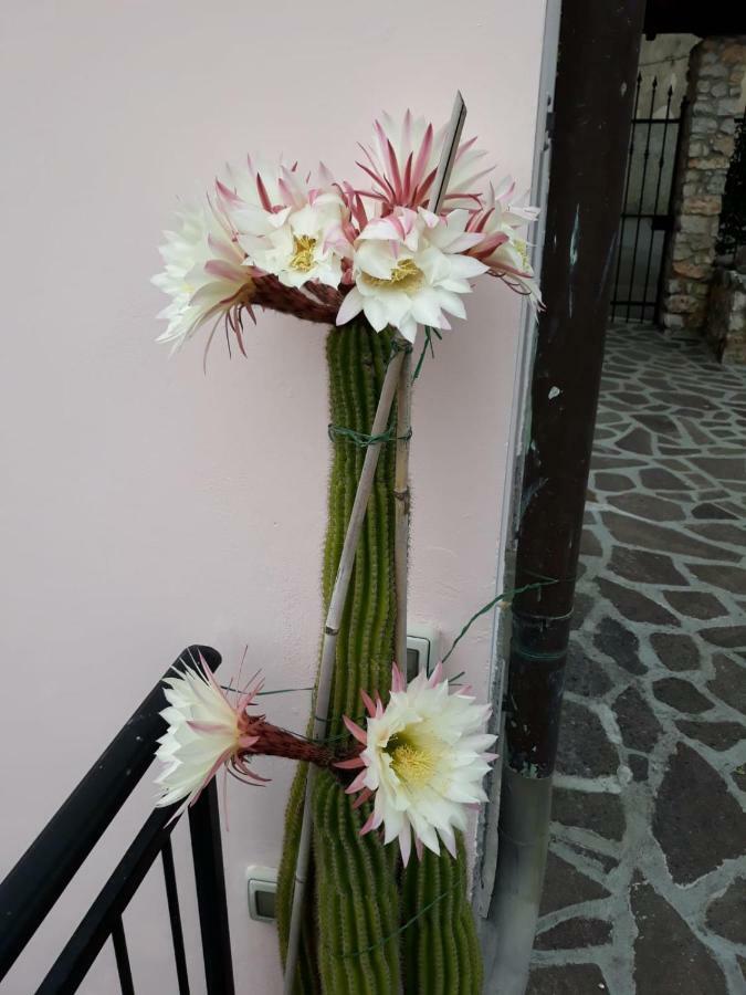 La Villa Специя Екстериор снимка